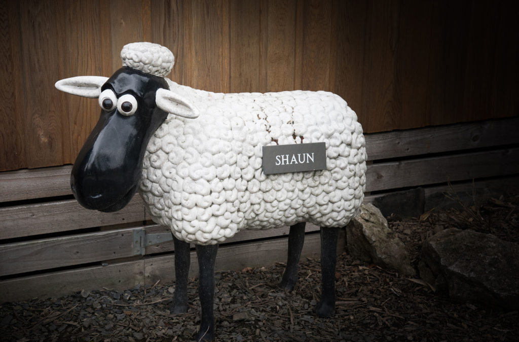 How to Explore The Lake District Without a Car