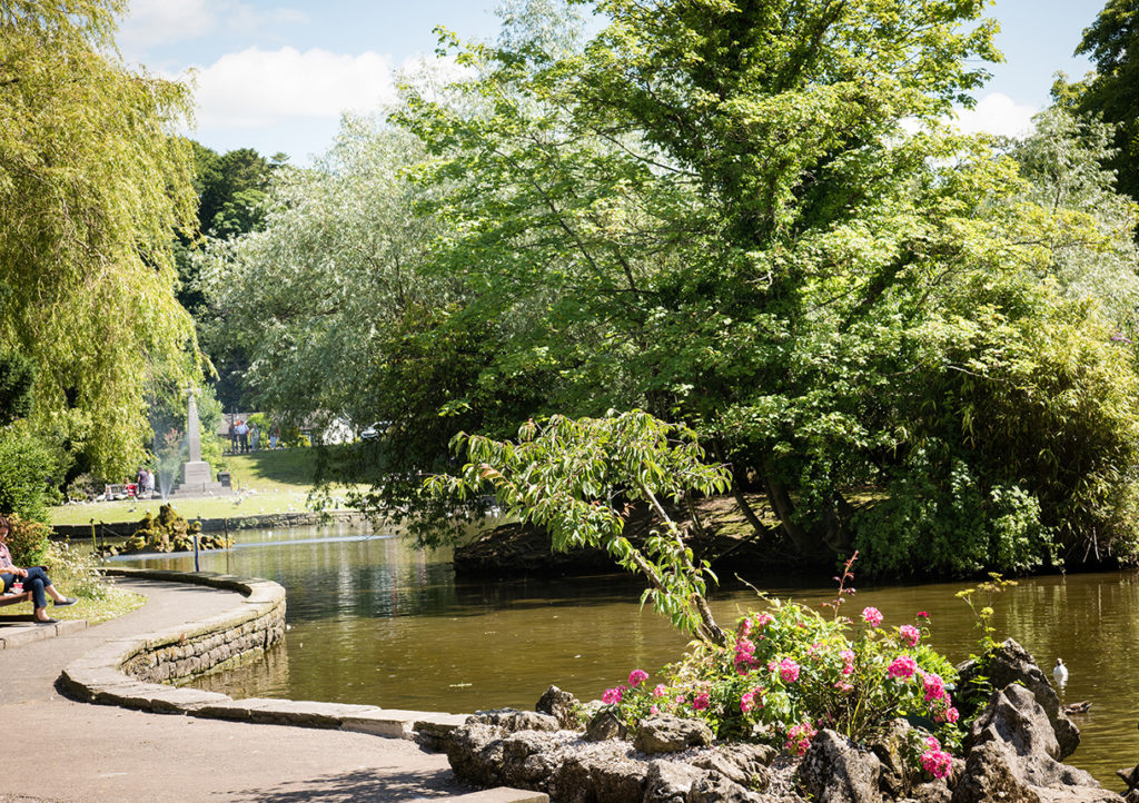 3 Places to Visit in the Lake District With Your Dogs